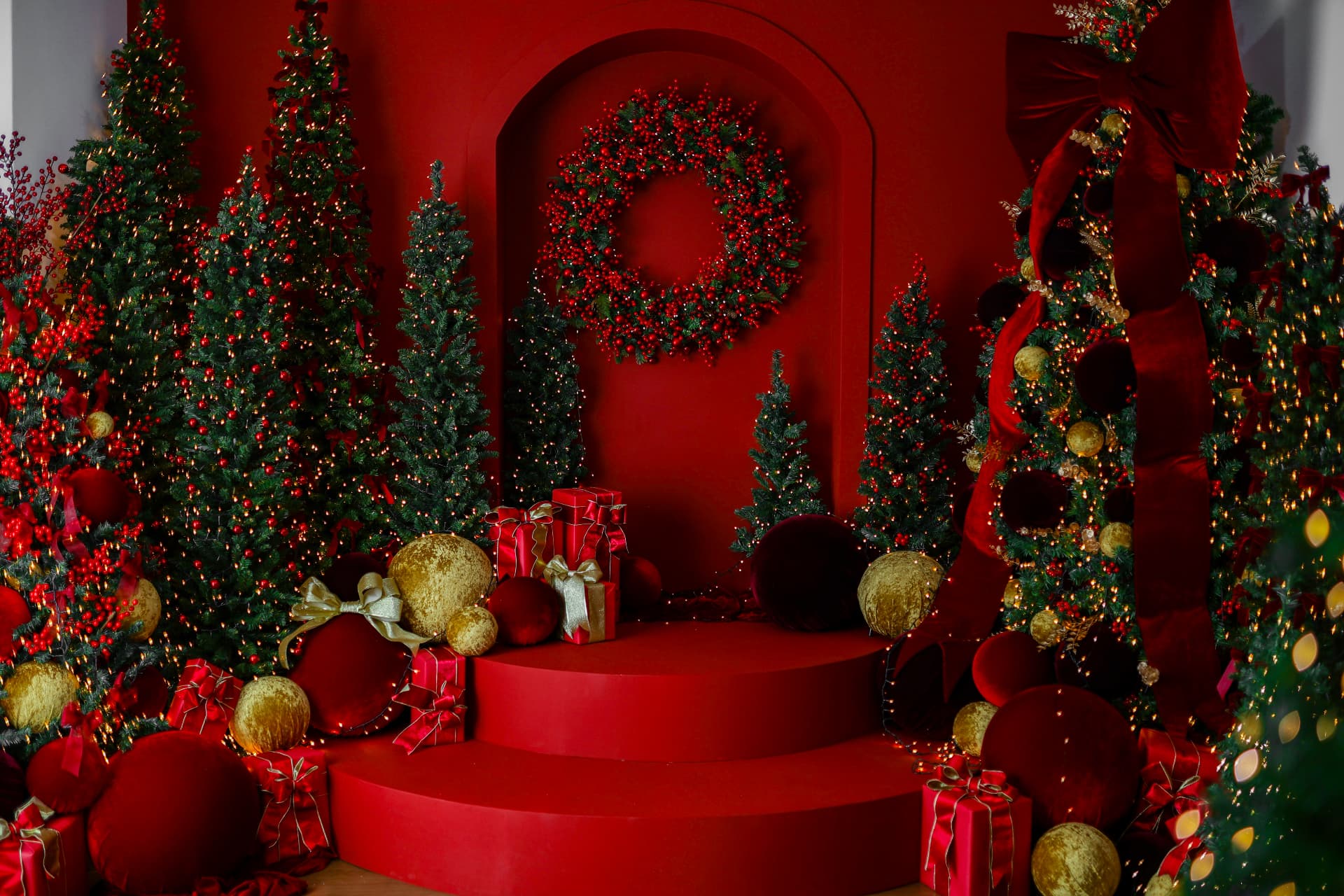 Laços de Natal — Milena Batista Fotografia